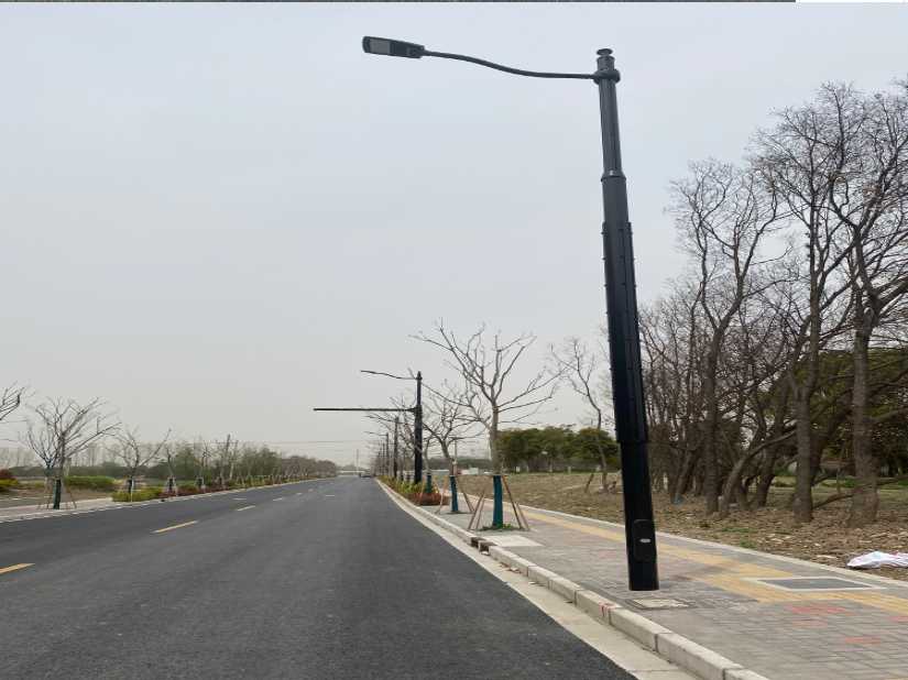 辽中区上海综合杆 太阳能路灯工程